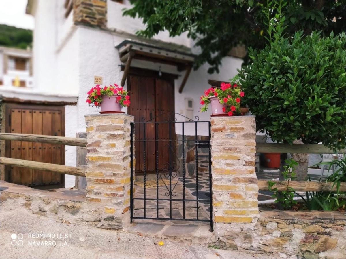 Casa Alpujarrena Fina Numero 27 Bubión Eksteriør bilde