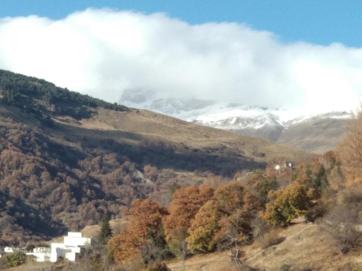 Casa Alpujarrena Fina Numero 27 Bubión Eksteriør bilde