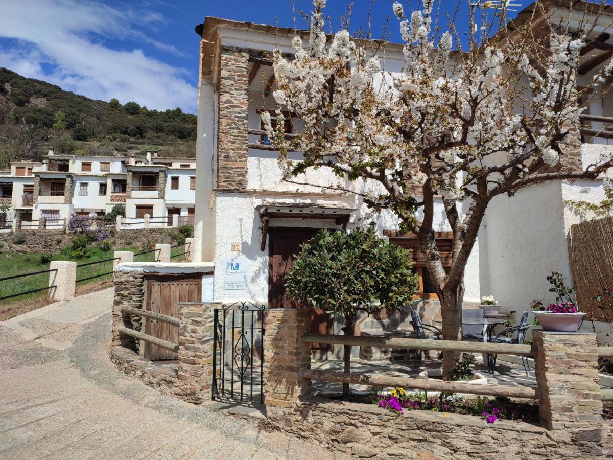 Casa Alpujarrena Fina Numero 27 Bubión Eksteriør bilde
