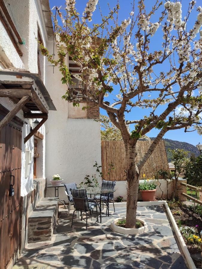 Casa Alpujarrena Fina Numero 27 Bubión Eksteriør bilde