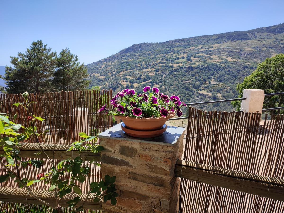 Casa Alpujarrena Fina Numero 27 Bubión Eksteriør bilde