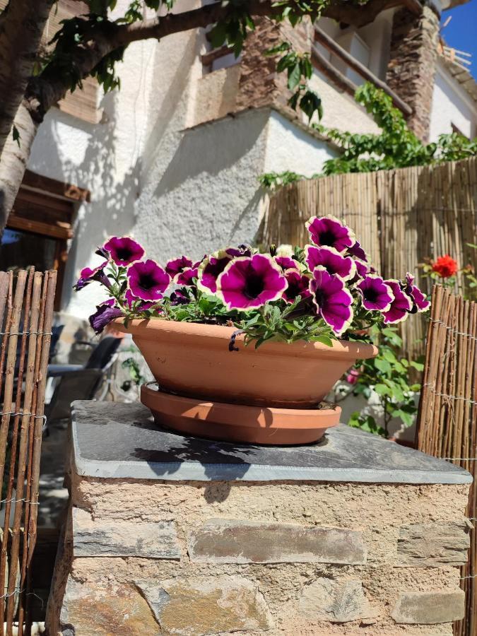 Casa Alpujarrena Fina Numero 27 Bubión Eksteriør bilde