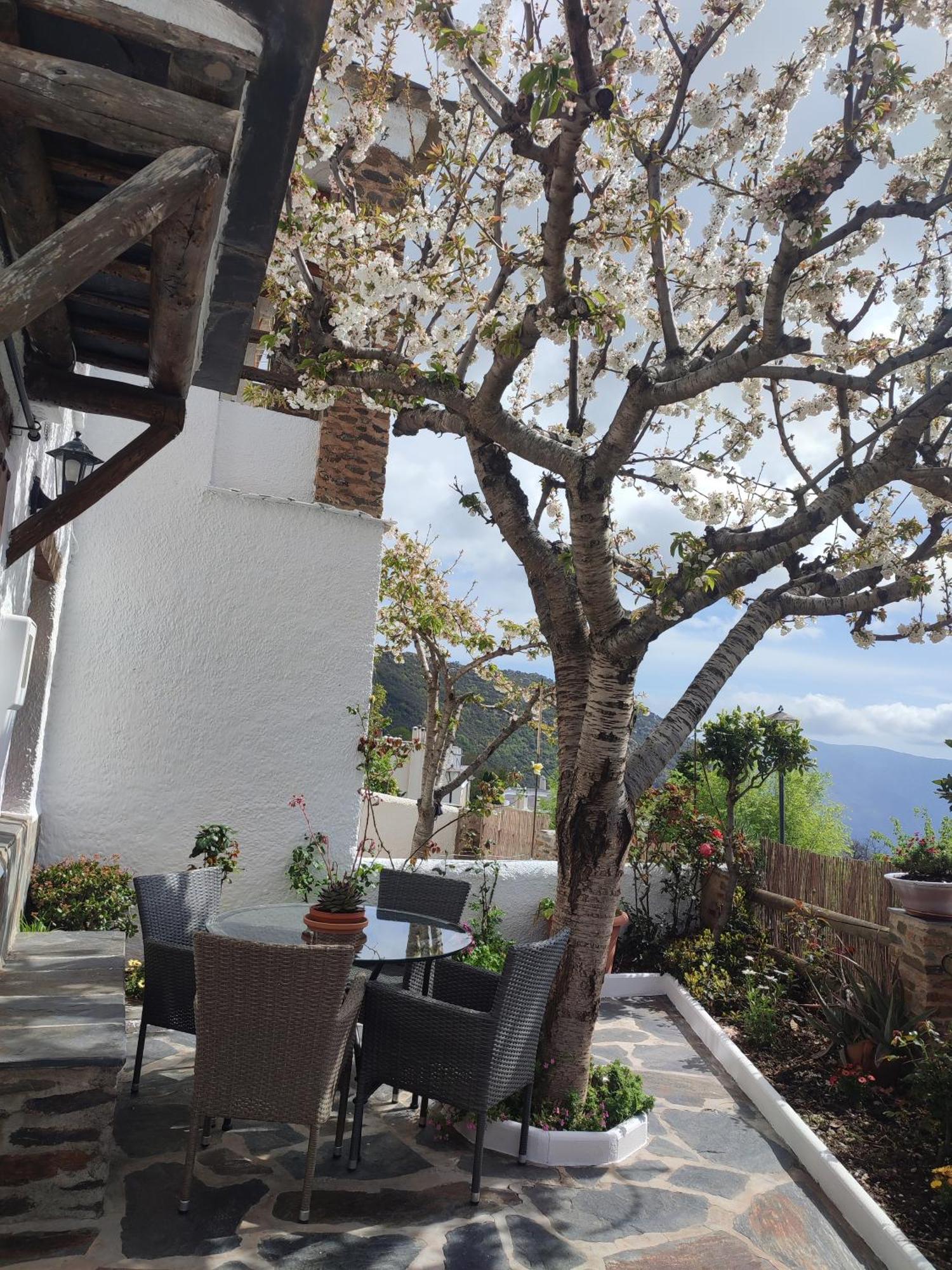 Casa Alpujarrena Fina Numero 27 Bubión Eksteriør bilde