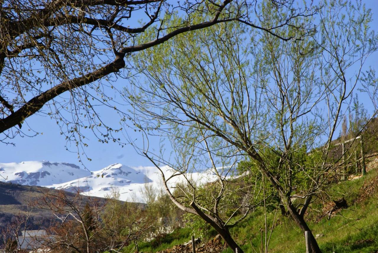 Casa Alpujarrena Fina Numero 27 Bubión Eksteriør bilde